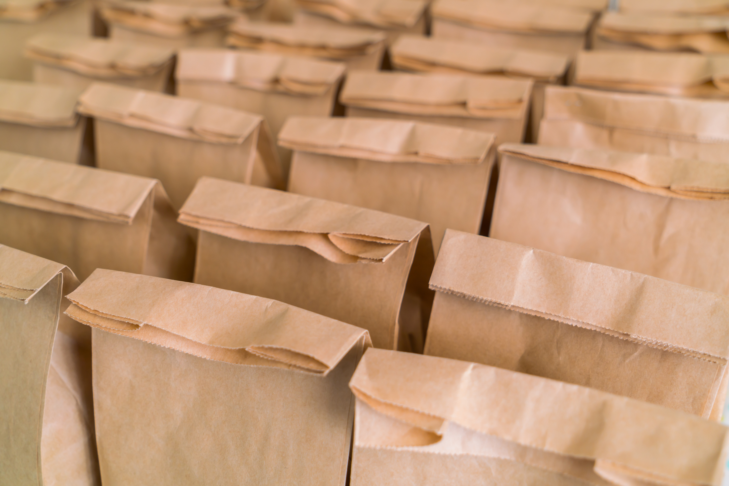 Bolsas, Cajas y Capacillos